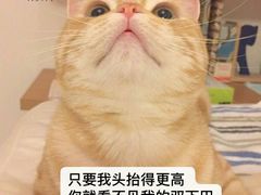 -南锣鼓巷吉他吧(鼓楼店)