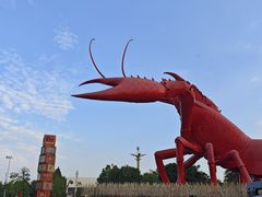 -虾皇(龙虾城旗舰店)