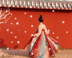 点击看大图 -金夫人婚纱摄影(总店)