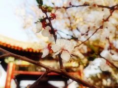 -南戴河旅游度假区