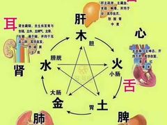 -裕和堂中医推拿艾灸(太古汇臻品店)