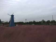 -鹅湖玫瑰文化园