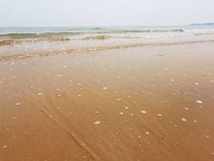 -青岛金沙滩