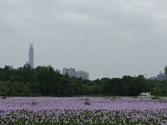 -三圣花乡旅游区