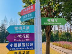 -前小桔亲子创意农场·草莓采摘·露营烧烤