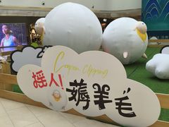 -阳光天地
