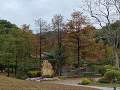 -云溪植物园