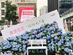 -HALO广场(梨园路店)