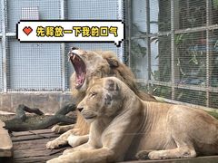 -南宁市动物园