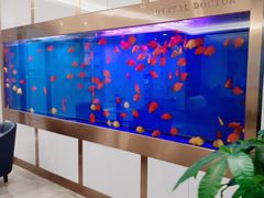 -牙博士口腔品牌连锁(杨浦店)