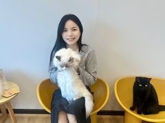 -有喵·猫咖·狗咖·40+猫狗有小奶狗(岗厦店)