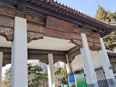 -团结湖公园
