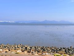 -深圳湾公园(南山区)