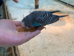 -上海大自然野生昆虫馆(东方明珠·爬宠昆虫探索中心)