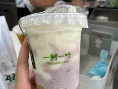 -一树一叶·福建茶档(石鼓路店)