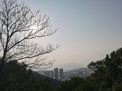 -福道
