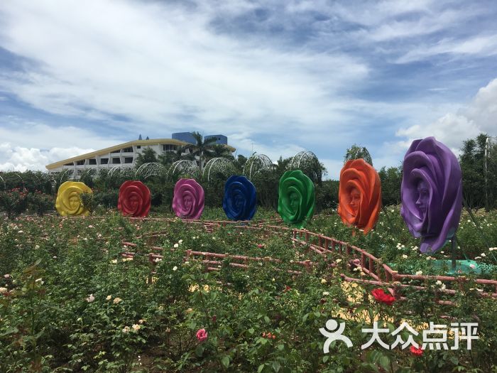 百万葵园图片 - 第5张