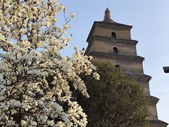 -大慈恩寺(大雁塔)