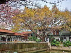 -喜洲吧·江畔老船厂·庭院餐厅(喜临院店)