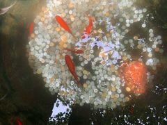 -晋阳饭庄(虎坊桥店)