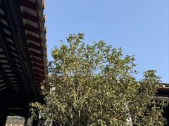 -梁园