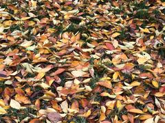 -国御温泉度假小镇