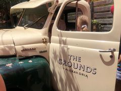 -The Grounds of Alexandria