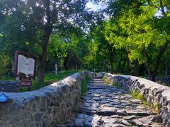 -阳台山自然风景区