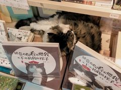 -猫的天空之城概念书店(苏州平江店)