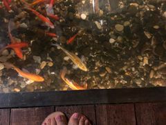 -颐和•海鲜砂锅粥•啫啫煲(奥林匹克广场店)