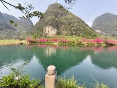 -靖西鹅泉风景区