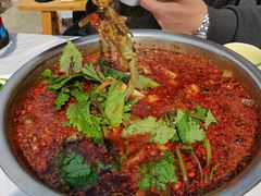 -彭大姐老店黄辣丁(新津店)