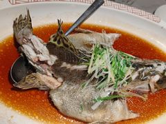 -峨嵋酒家(牡丹园店)