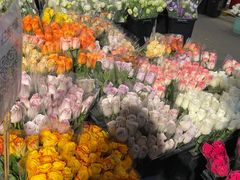 -循礼门鲜花花市(武汉循礼门店)