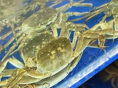 -阳澄湖大闸蟹·琼灵阁牌品牌连锁(吴中总店)