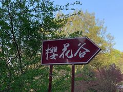 -南京市江宁方山