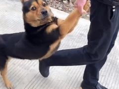 -玉滋補