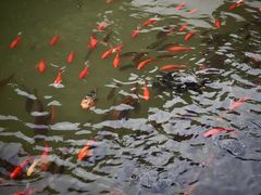 -宁波市保国寺古建筑博物馆