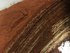 -Awfully Chocolate(来福士广场店)