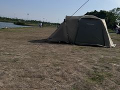 -春花秋色城市公园