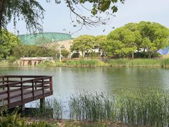 -新江湾城公园