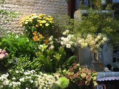 -杭州街角花屋花店(闻堰店)
