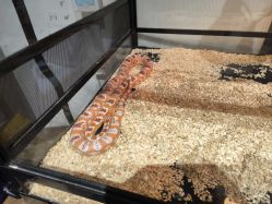 -Zoolung Zoolung动物主题公园(海信广场店)