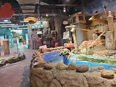 -正佳雨林生态植物园