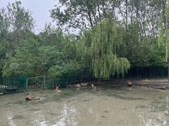 -溱湖国家湿地公园