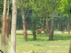 -秦皇岛野生动物园