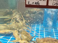 -许爷家·生态湖鲜(徐汇日月光店)