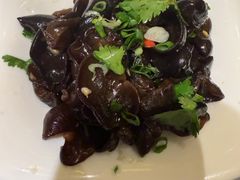 凉拌山木耳-润泽园椰子鸡(汇一城店)