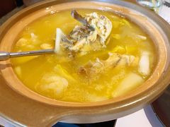 金汤花胶鸡-洪禧楼·老广东海鲜酒楼(宁波万象城店)