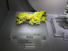 -湖南省地质博物馆